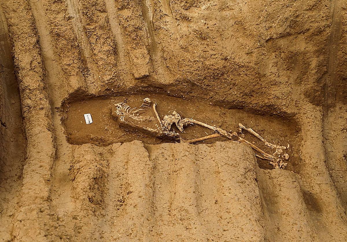 Nuevos hallazgos en la necrópolis romana de Gaza