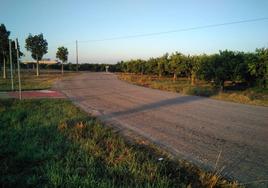 Limpieza de caminos en Burriana