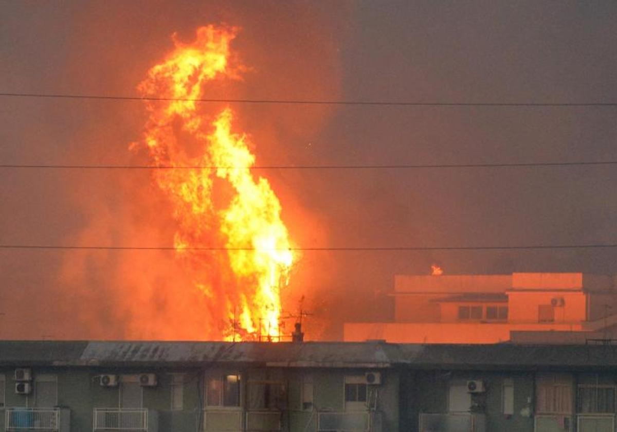 Fuego en la zona de Monte Grifone, en Palermo (Sicilia).