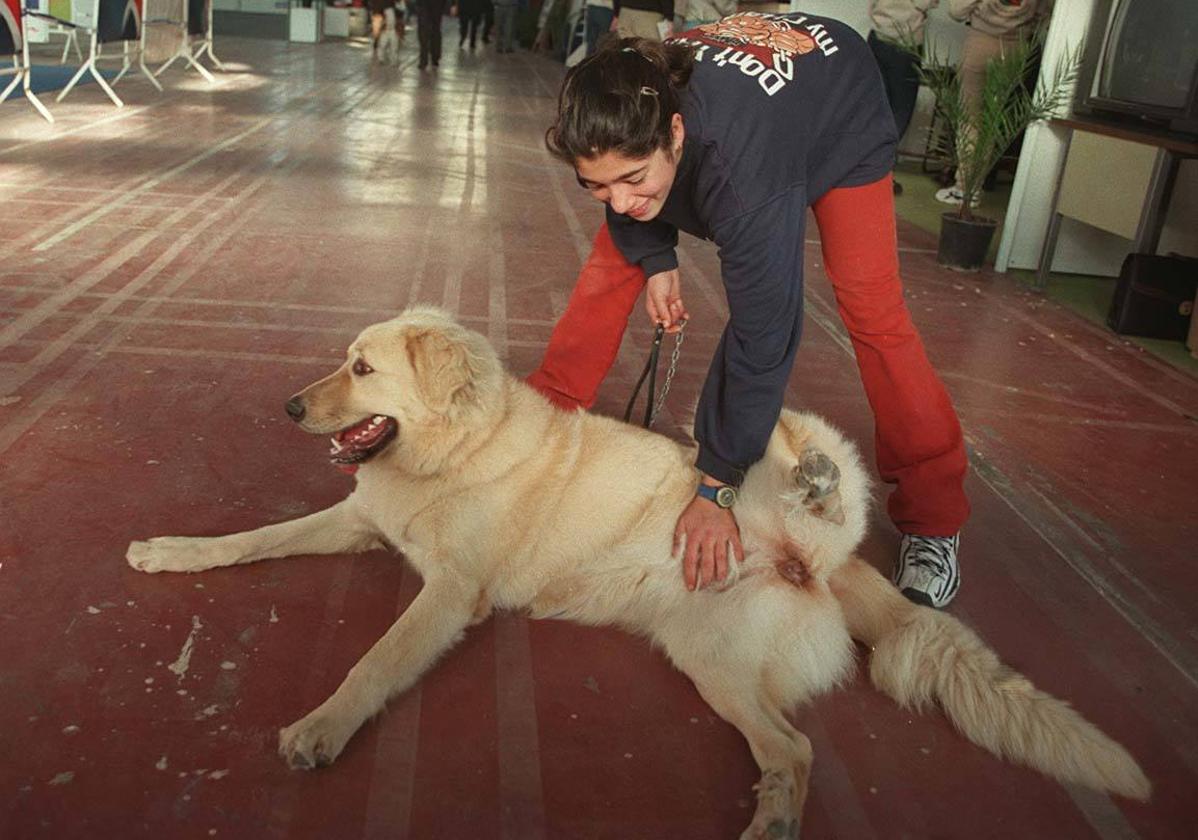 Un perro junto a su dueña en una estación de Renfe