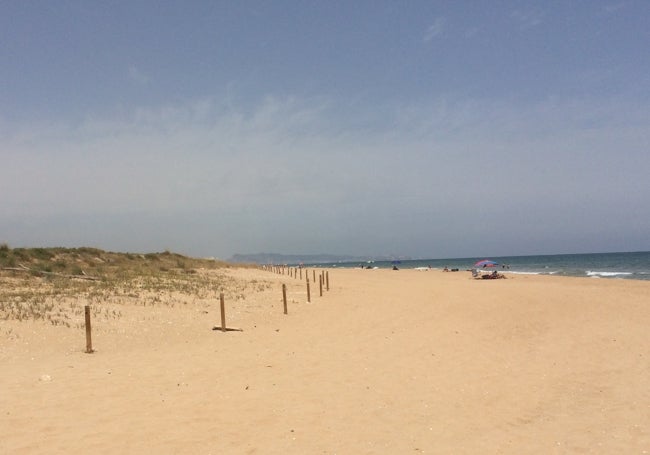 Tramo sur de la playa de Tavernes, donde no hay vigilancia, visto desde Xeraco.