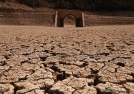 Campos afectados por la sequía