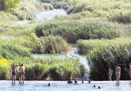 Varios jóvenes se bañan junto al río Júcar, a su paso por el municipio de Antella.