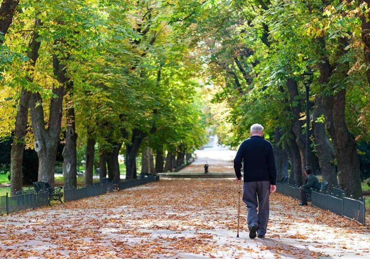 Un pensionista paseando por el parque en una imagen de archivo.