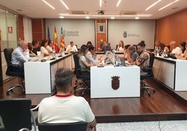 Pleno en el Ayuntamiento de Riba-roja de Túria.