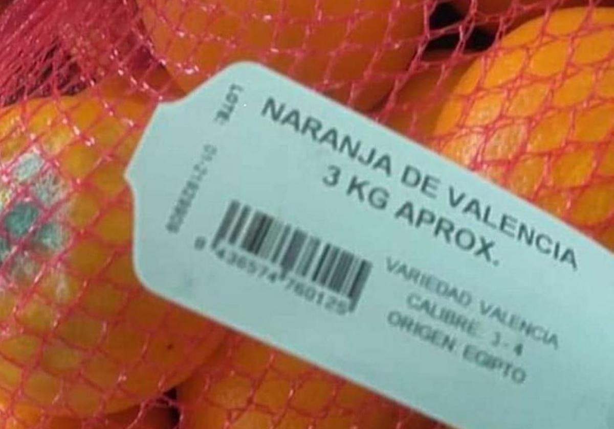 Etiqueta de naranjas egipcias que se hacen pasar como 'de Valencia' y con un fruto (izquierda) podrido.