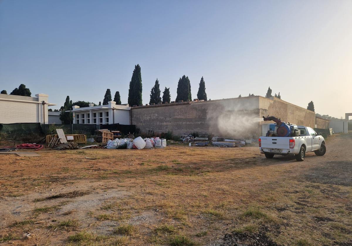 Alzira alerta de la proliferación de mosquitos en el cementerio por el agua estancada de los búcaros