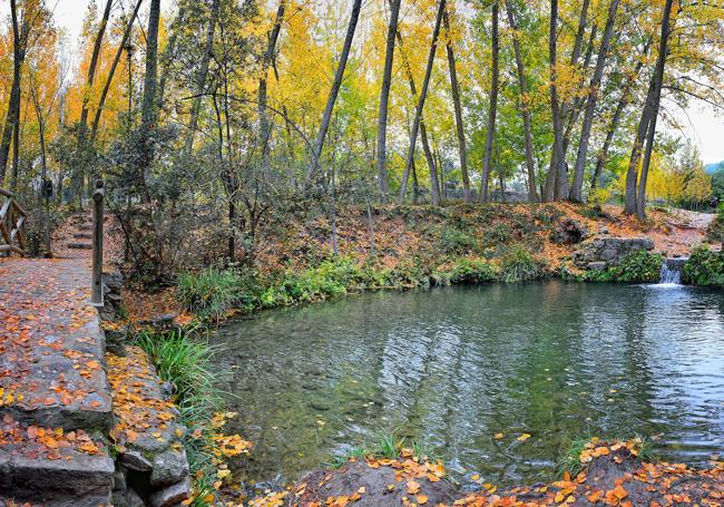 Área recreativa Molí l'Ombria