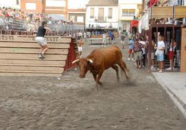 Toros en Gilet