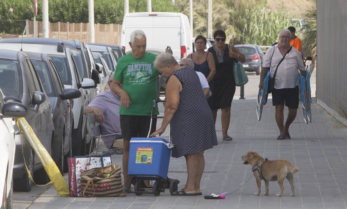 Pinedo: un oasis entre campos de arroz, el mar y el Turia