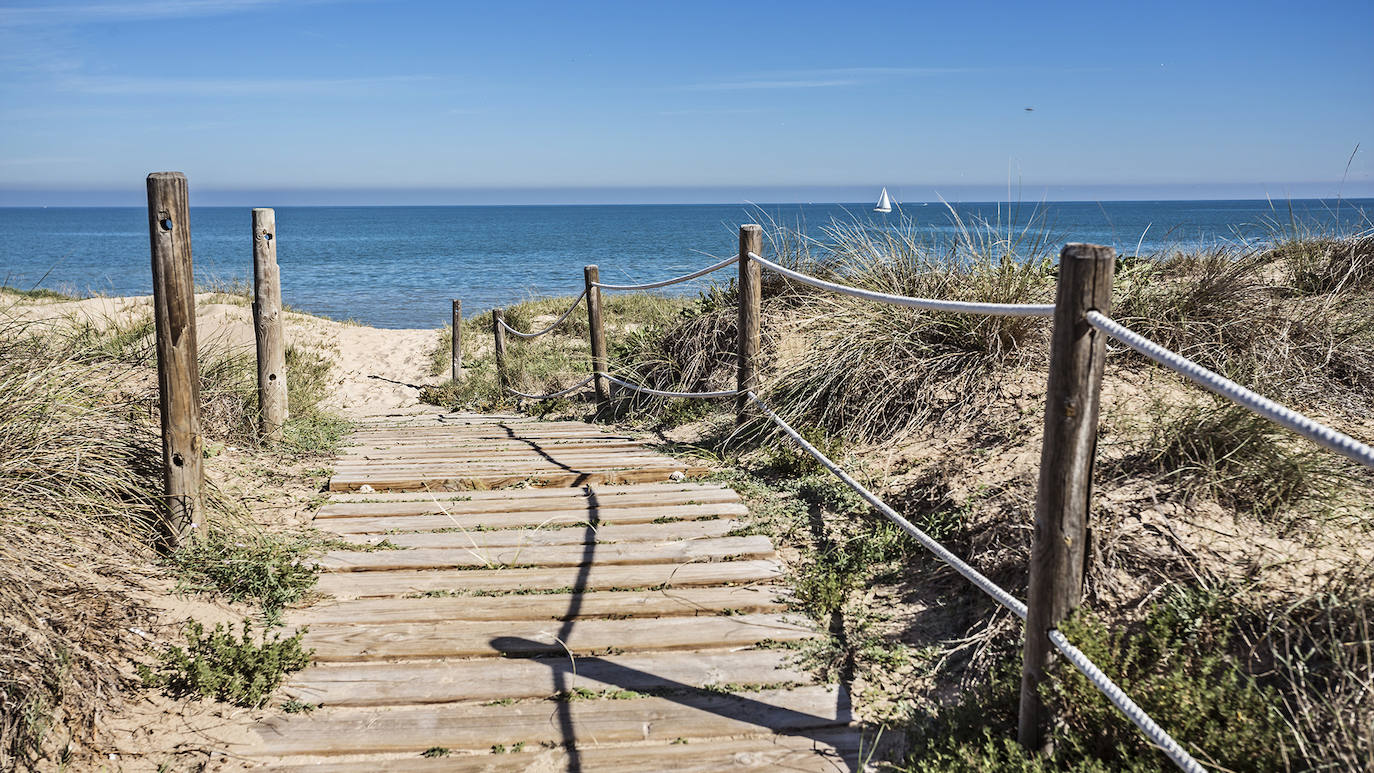 Cómo están hoy las playas de Gandia, Oliva y Sagunto