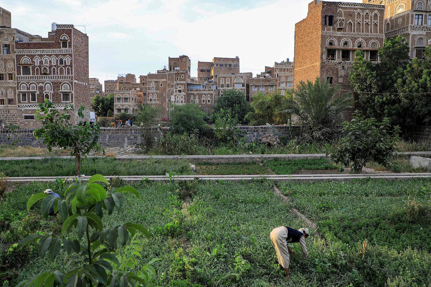 Saná, una ciudad congelada en el pasado