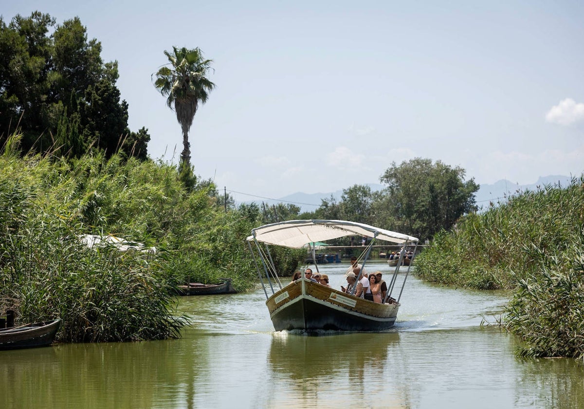 Una barca navega por la Albufera.