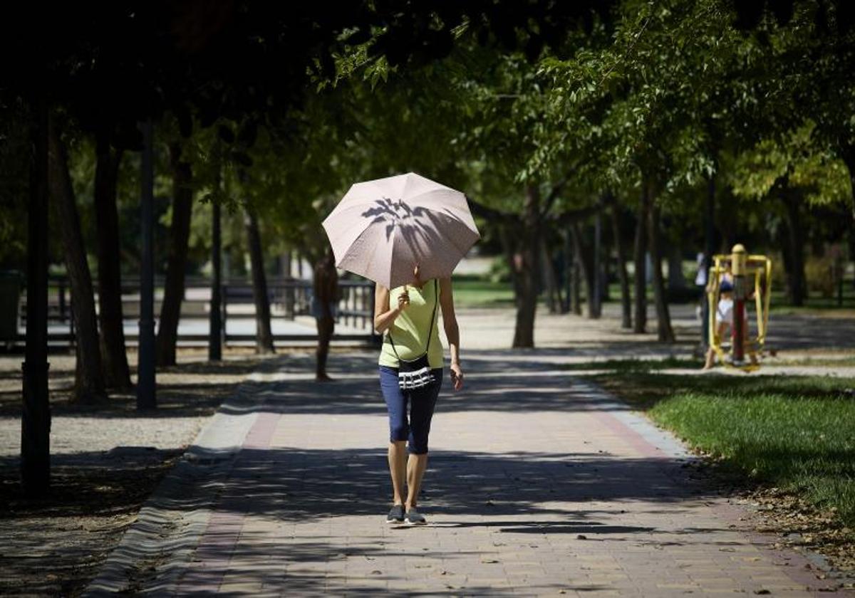 Ola de calor en Valencia.