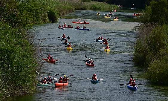 Competición de piragua en Sueca.