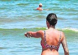 Tiburones sin brújula en el Mediterráneo valenciano por el calor