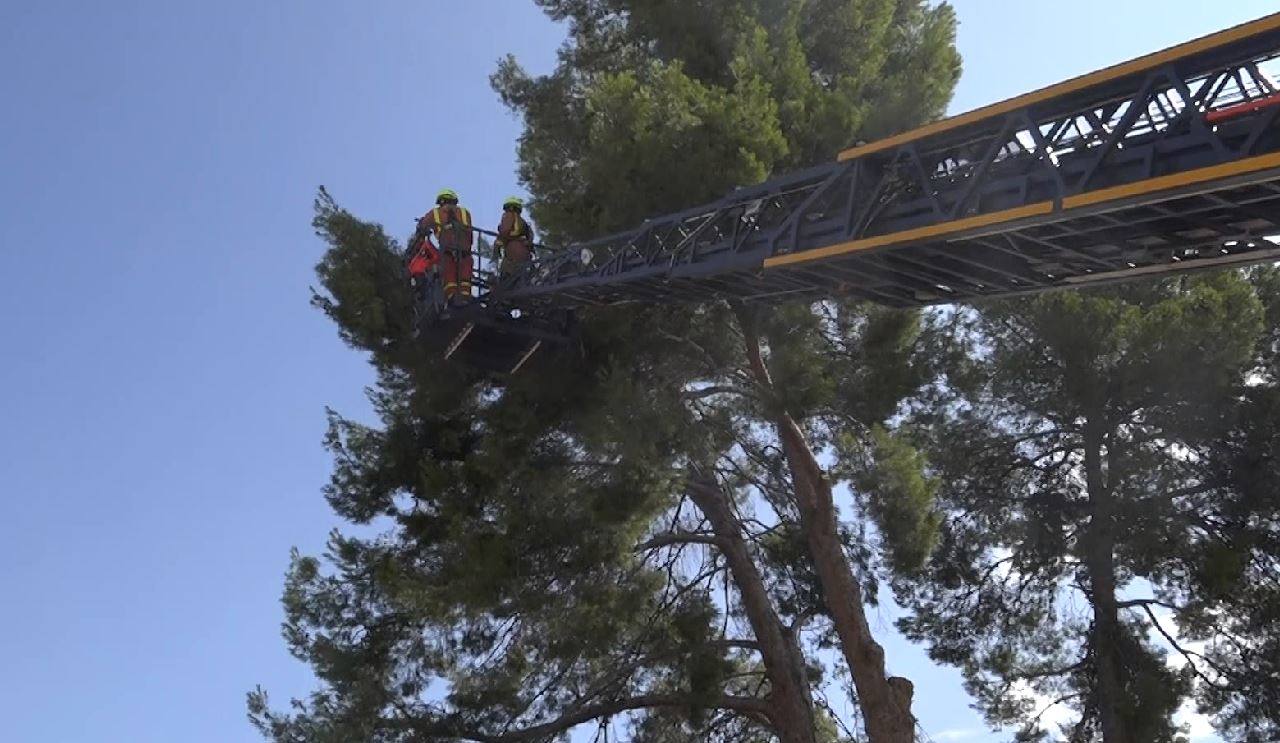 Los bomberos intervienen en l&#039;Eliana y Xàtiva por los efectos de la lluvia