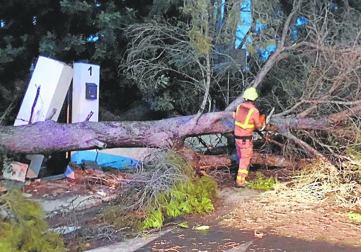 Un bombero trabaja con un árbol caído.