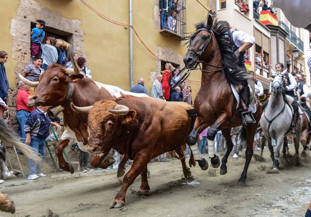 Entrada de los Toros y Caballos en las fiestas patronales de Segorbe