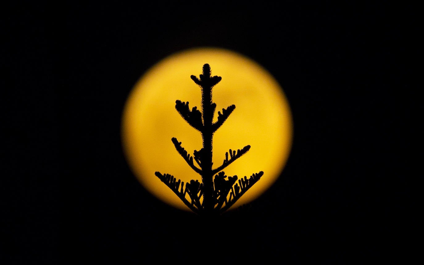 Así se vio la superluna azul de agosto por todo el mundo