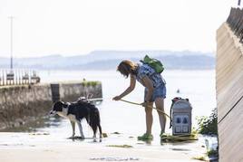 Una mujer ducha a su perro.