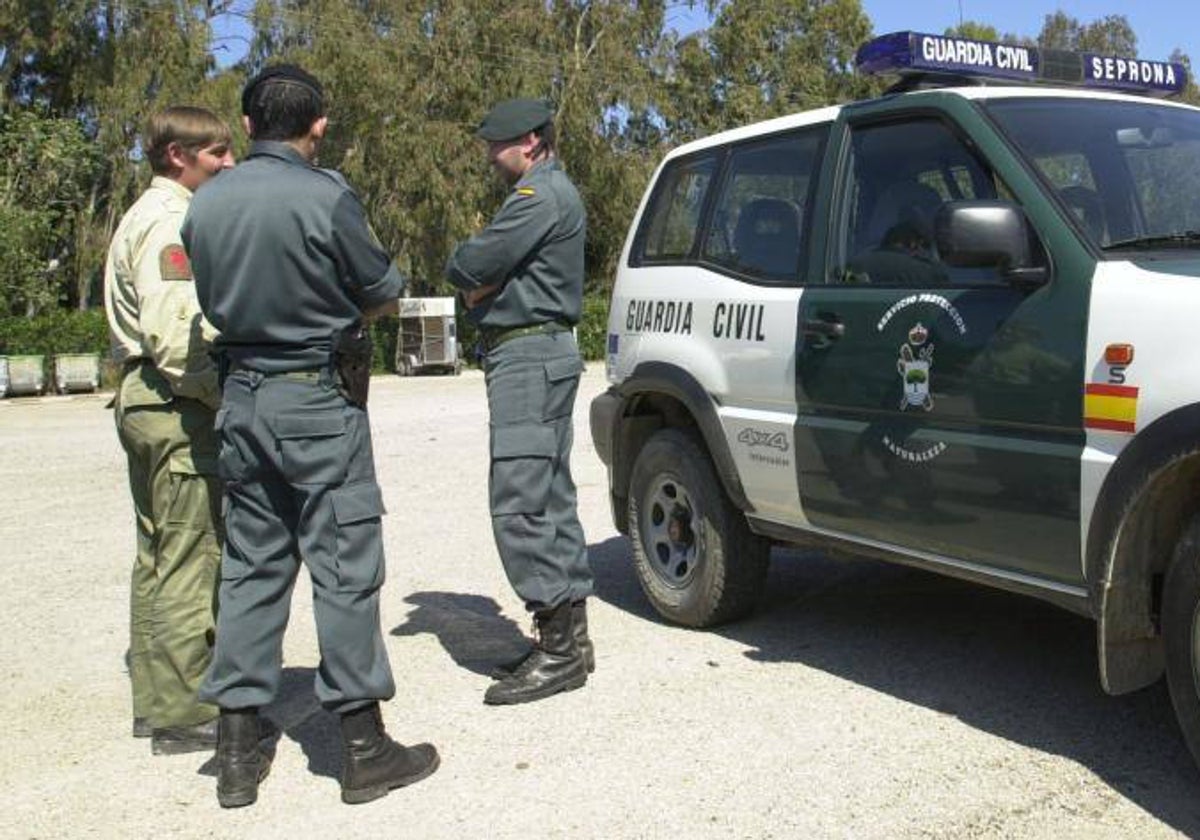 Agentes del Seprona en una imagen de archivo.