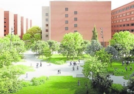 Figuración de la plaza principal del campus.