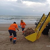 Retirada de cañas y malezas, en la playa de Valencia.
