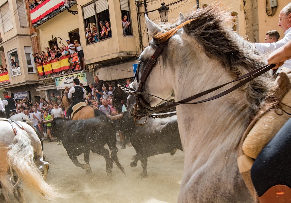 Los caballistas han mantenido agrupados a los toros hasta la plaza.