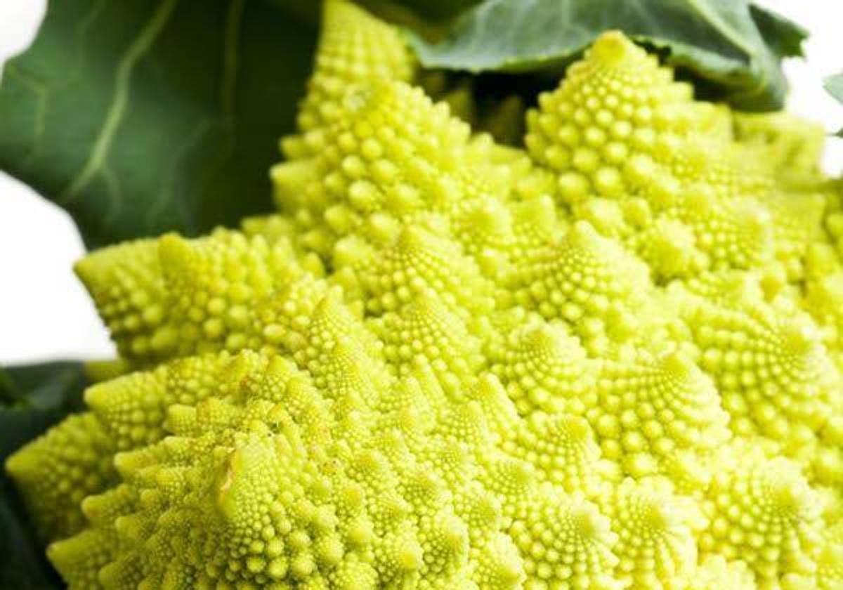 El romanesco aporta numerosos beneficios.