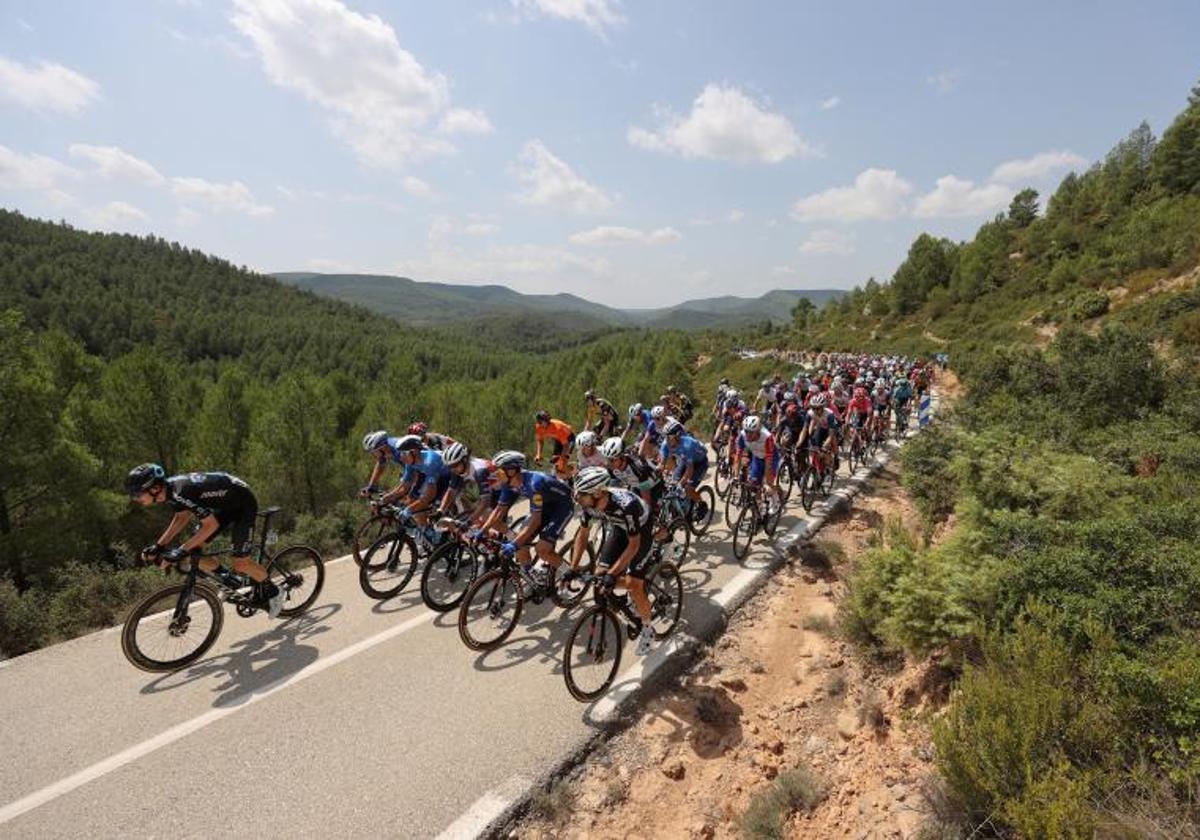 El pelotón durante una etapa de la Vuelta a España.