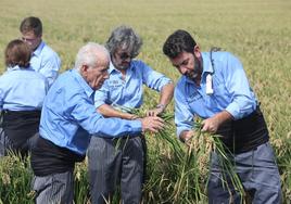 Antonio Gil Cuéllar explica a Diego Guerrero y Arturo Valls cómo se realiza la siega del arroz.