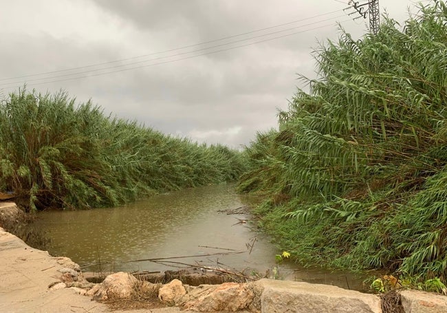 Aumento del cauce del río Vaca a su paso por Tavernes.