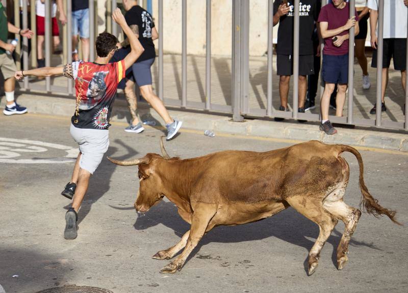 Los bous al carrer vuelven a Valencia