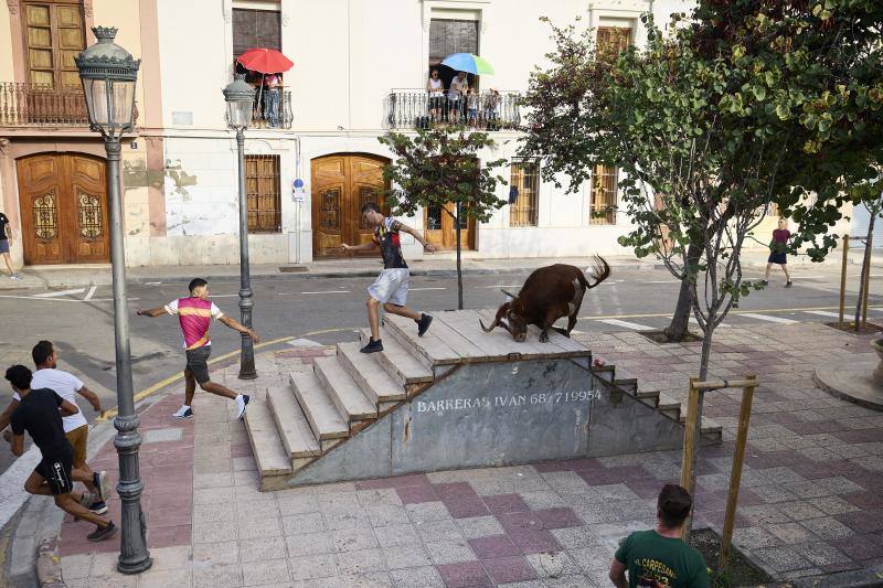 Los bous al carrer vuelven a Valencia