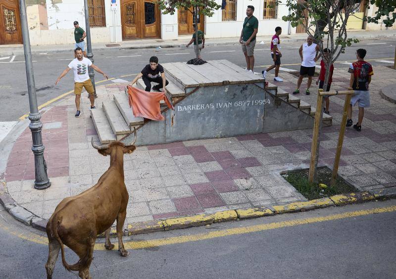 Los bous al carrer vuelven a Valencia