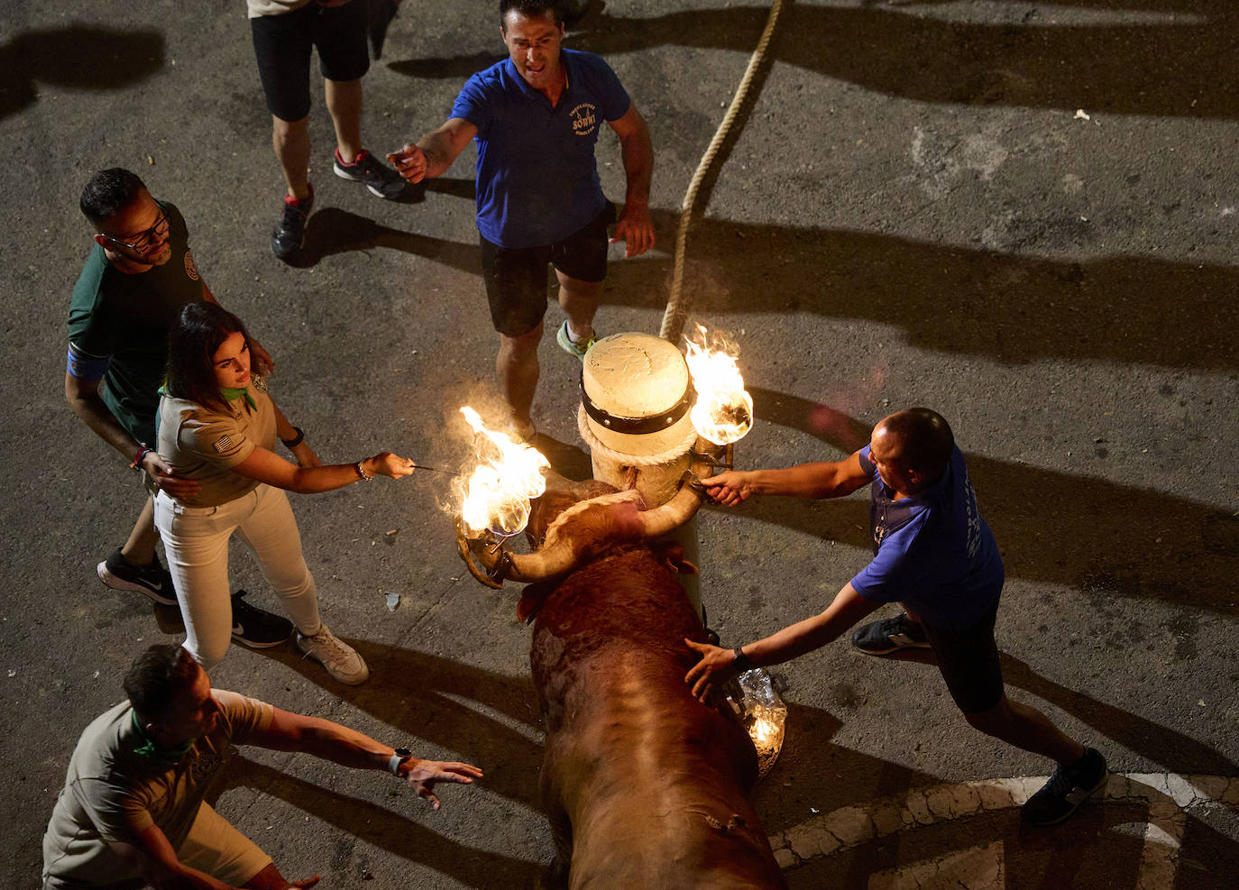 Los bous al carrer vuelven a Valencia