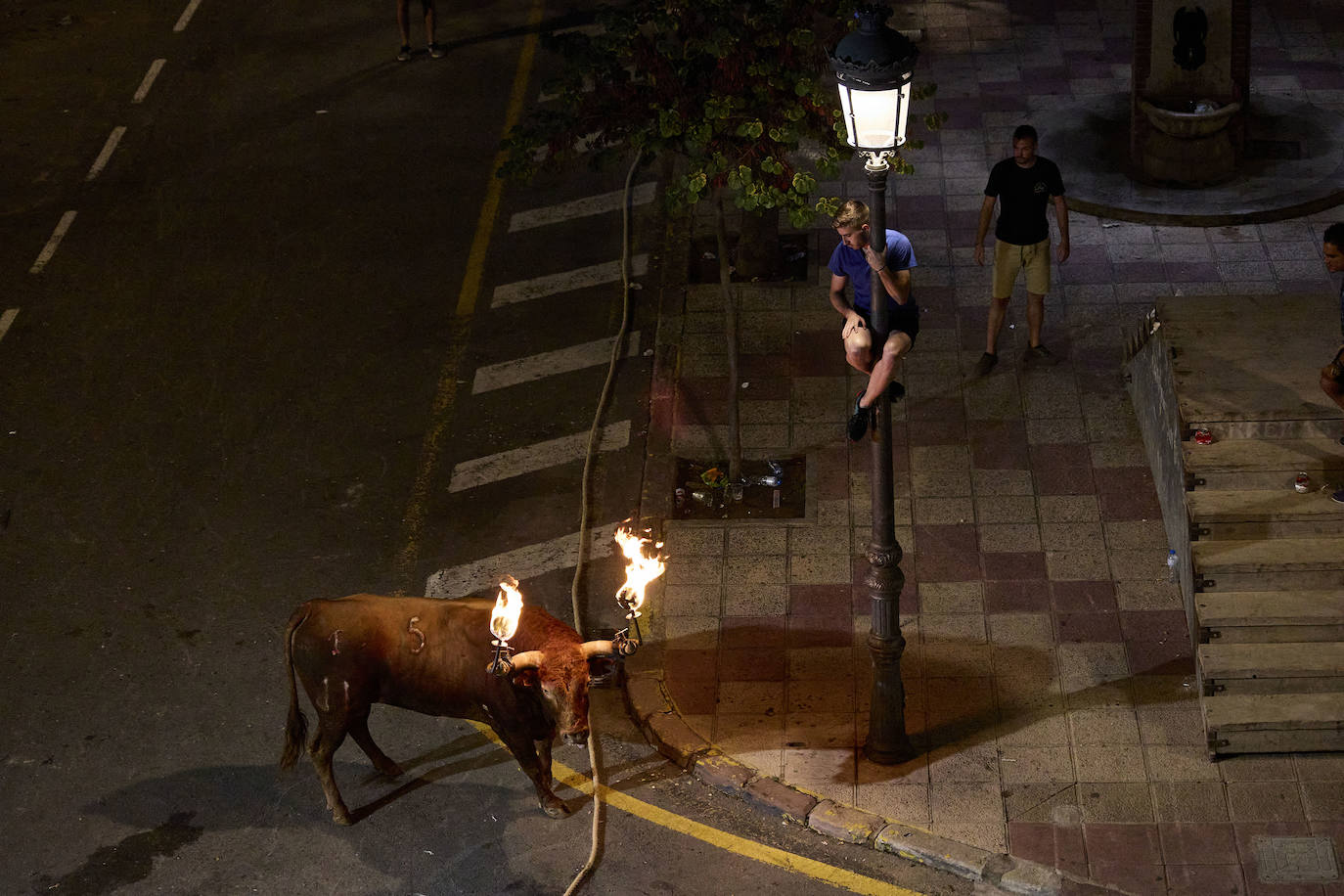 Los bous al carrer vuelven a Valencia