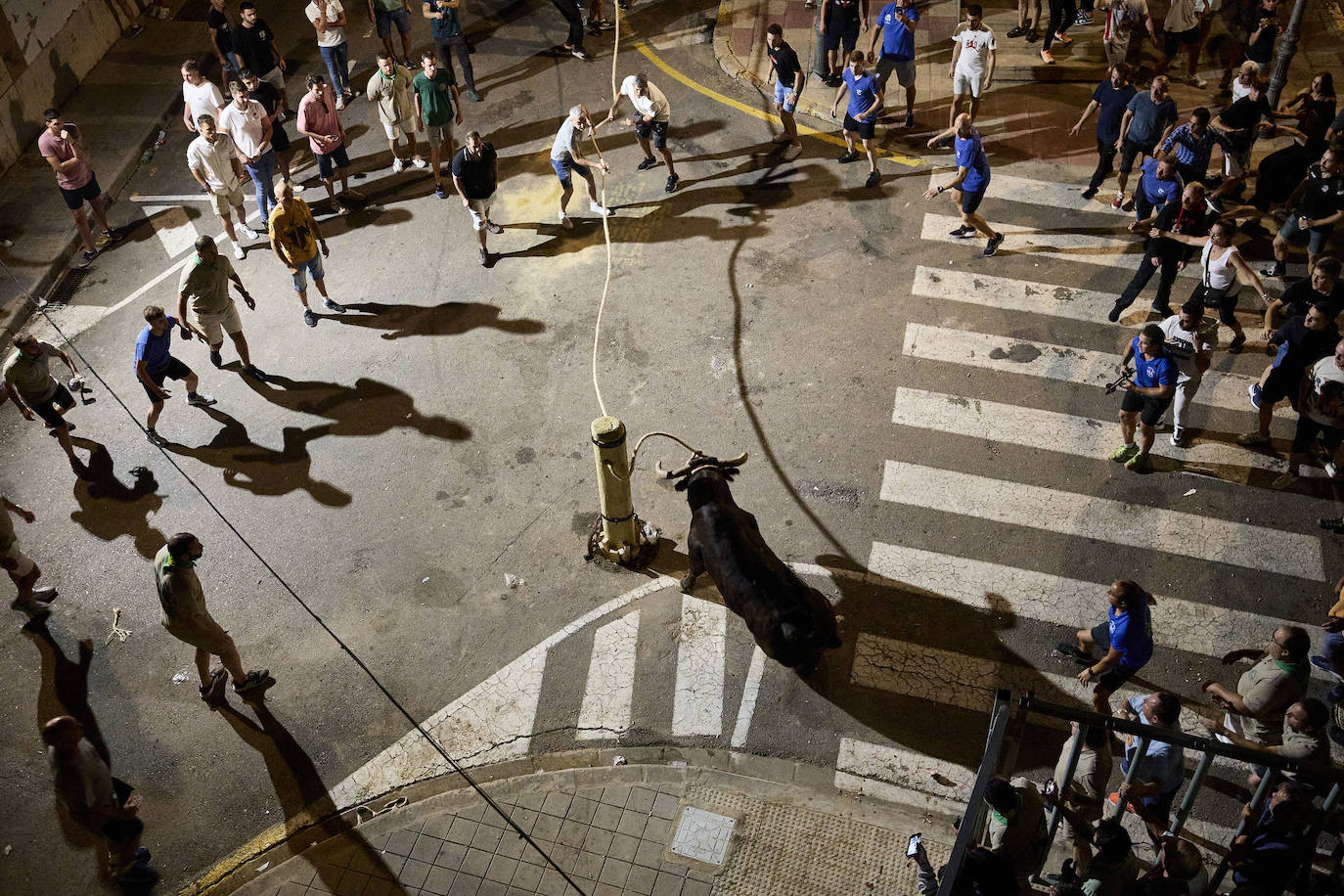 Los bous al carrer vuelven a Valencia