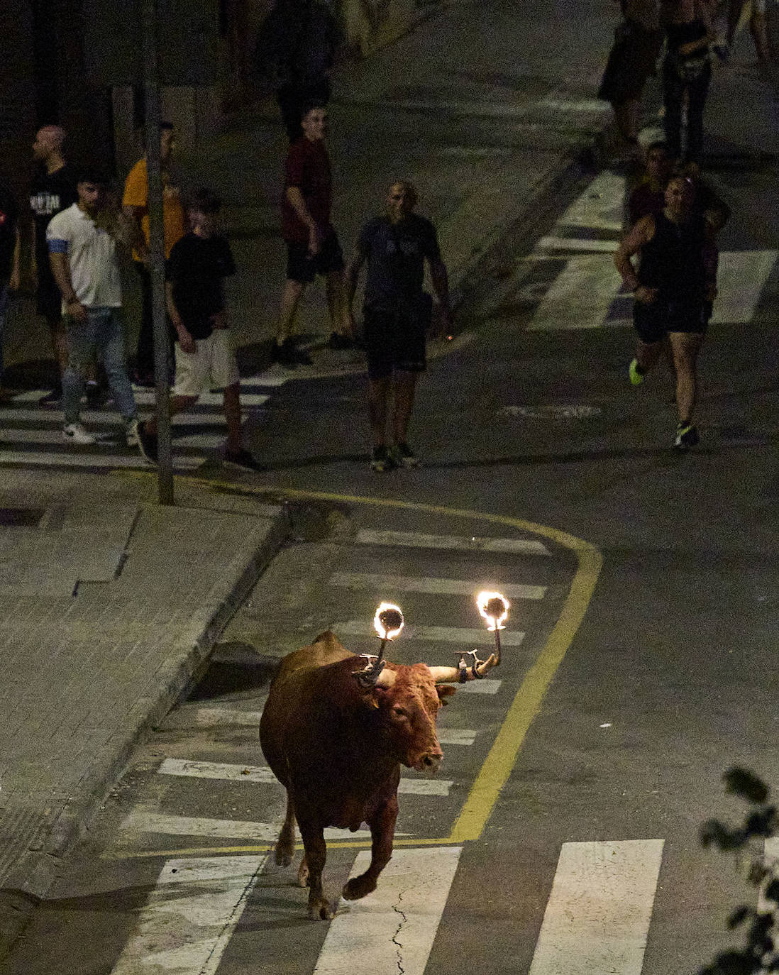 Los bous al carrer vuelven a Valencia