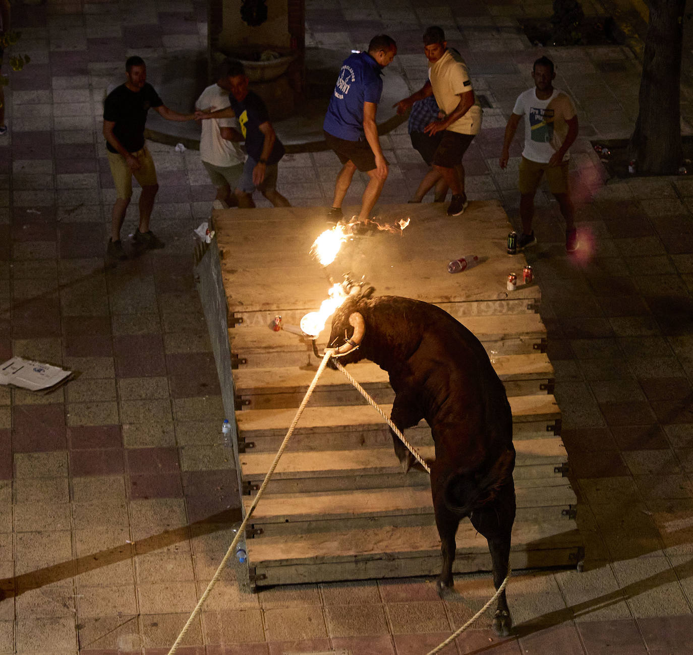 Los bous al carrer vuelven a Valencia