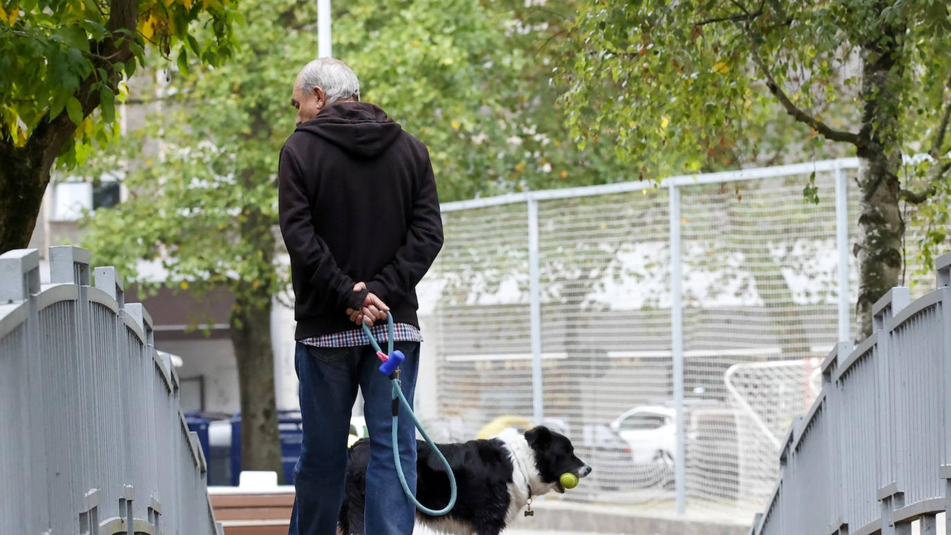 cuál es la ley sobre pasear perros