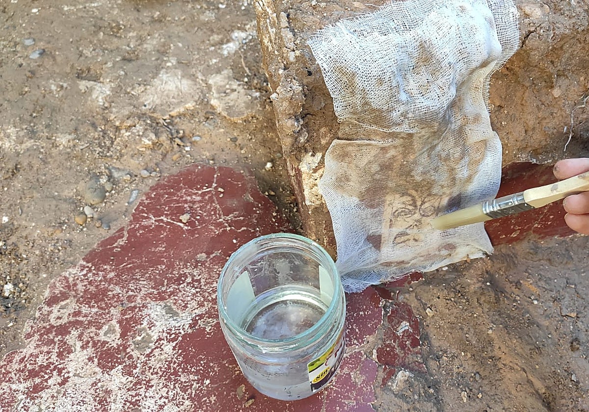 Una arqueóloga trabaja sobre uno de los restos encontrados.