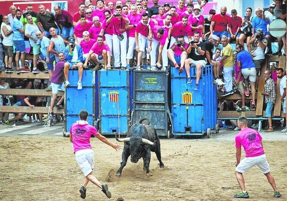 Una de las citas de los bous al carrer celebradas en la Pobla de Farnals.