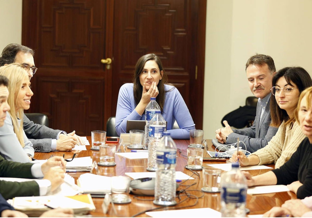 Última reunión de la comisión de investigación.