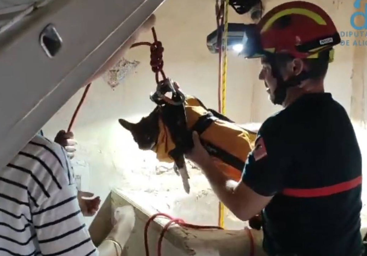 Un bombero alicantino extrae del pozo al can en apuros.