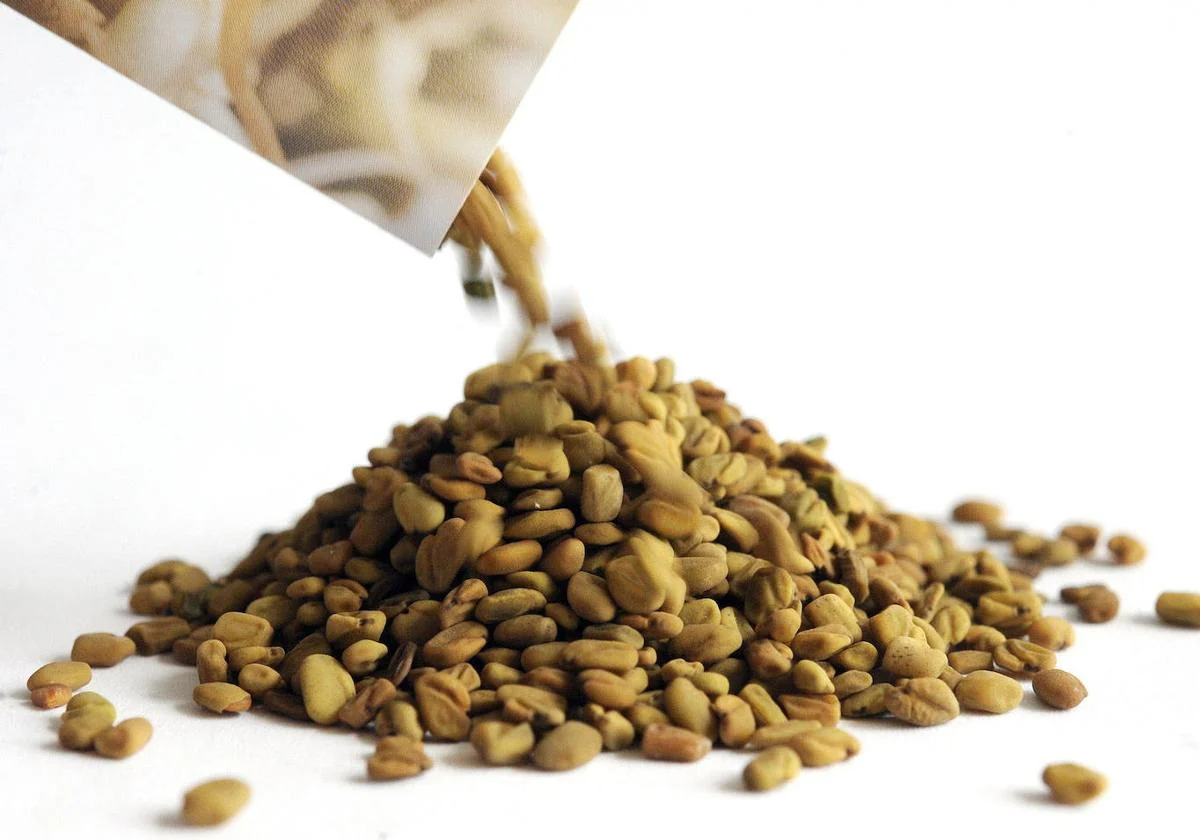 Superfood: Fenugreek | Superfood that protects your digestive system and helps you eliminate toxins