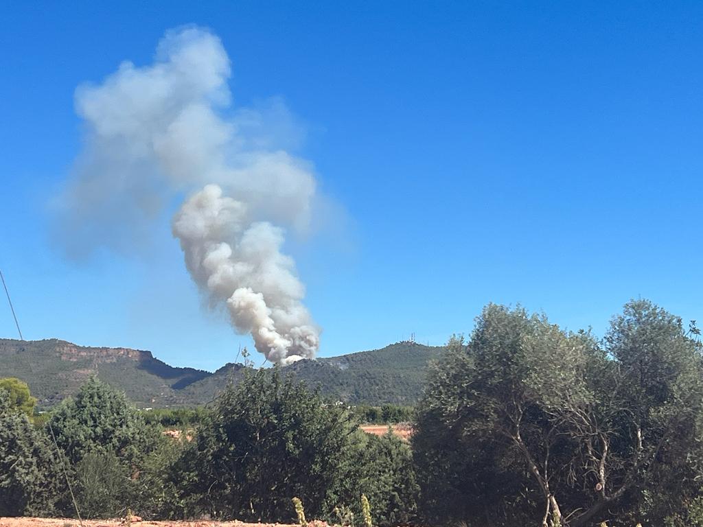 Fotos del incendio junto al monte Picayo, en la Sierra Calderona de Valencia