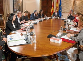 Puig preside un pleno del anterior Consell.