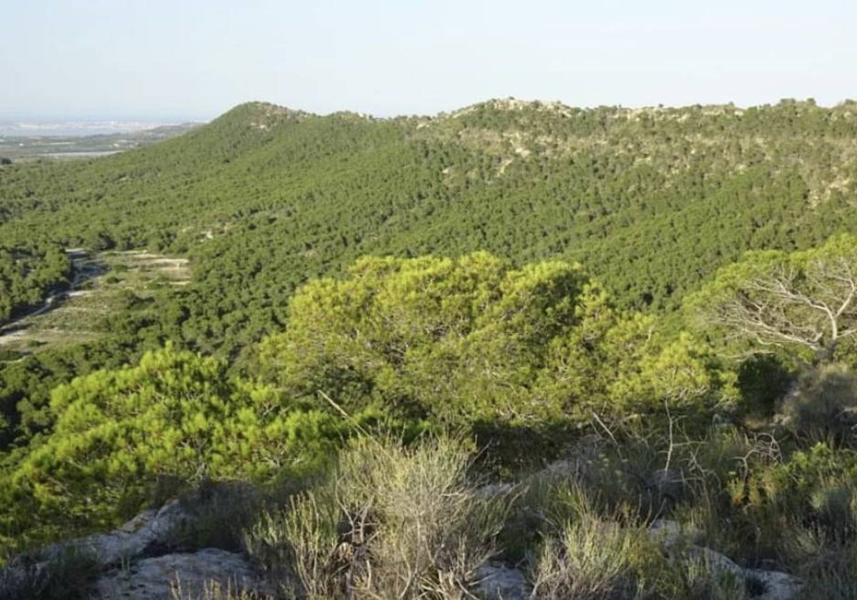 Vistas desde parte de la cresta de la montaña.